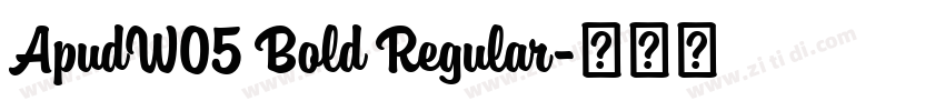 ApudW05 Bold Regular字体转换